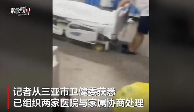 咬身亡!身材一绝是家中独生女肤白貌美太可惜j9九游真人游戏第一平台27岁女游客被蛇(图2) 咬身亡!身材一绝是家中独生女肤白貌美太可惜j9九游真人游戏第一平台27岁女游客被蛇(图2)