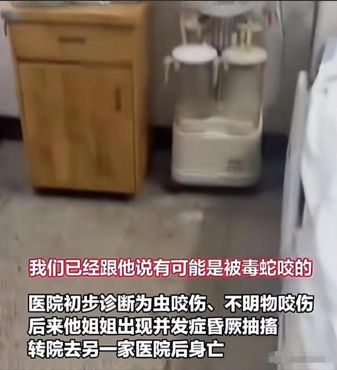 咬身亡!身材一绝是家中独生女肤白貌美太可惜j9九游真人游戏第一平台27岁女游客被蛇(图4) 咬身亡!身材一绝是家中独生女肤白貌美太可惜j9九游真人游戏第一平台27岁女游客被蛇(图4)